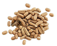 Daikon Seed Extract
