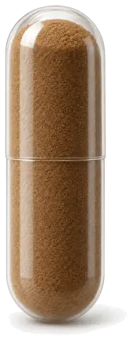 Alistrol capsule